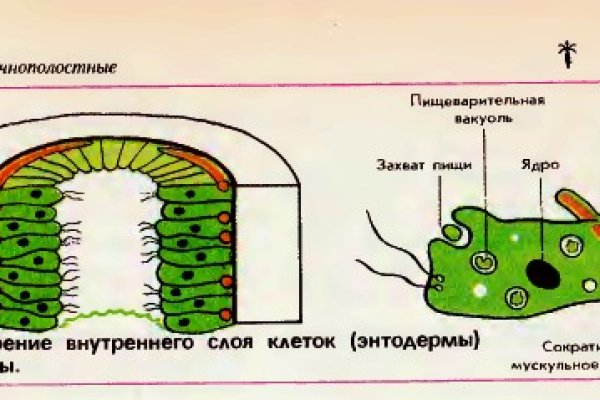 Omg зеркало на сегодня